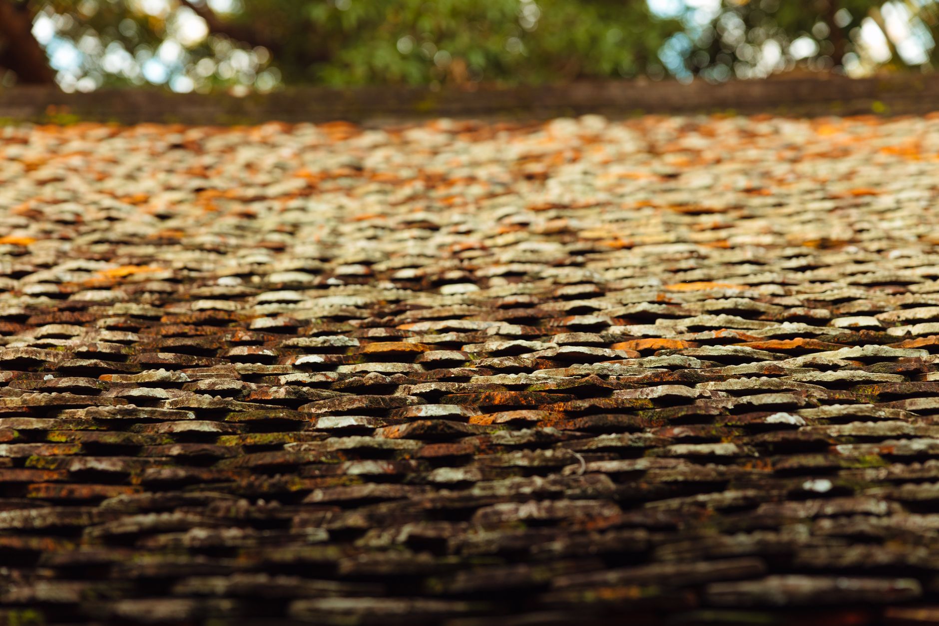 Close-up detail of asphalt shingle installation with precise overlapping placement and professional finish